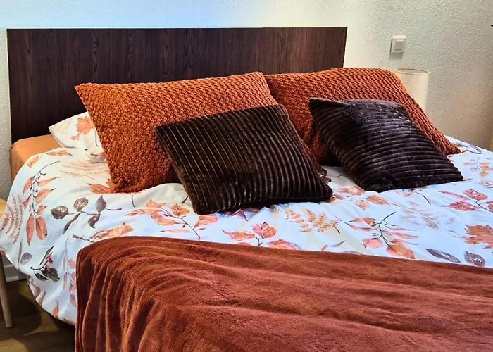 L'ambre - Moderne - Equipe - Douche * Lourdes