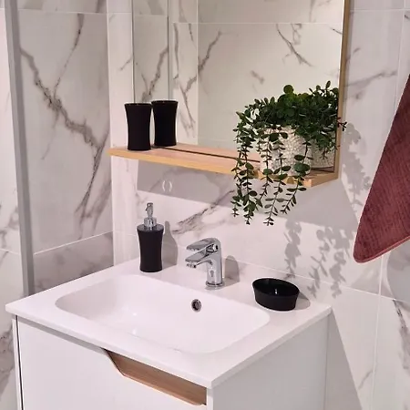 L'ambre - Moderne - Equipe - Douche * Lourdes
